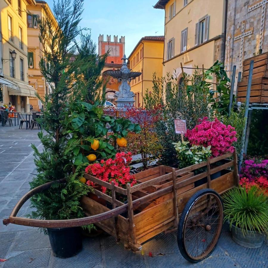 Ferienwohnung La Casa Di Ciaccia Camaiore Exterior foto